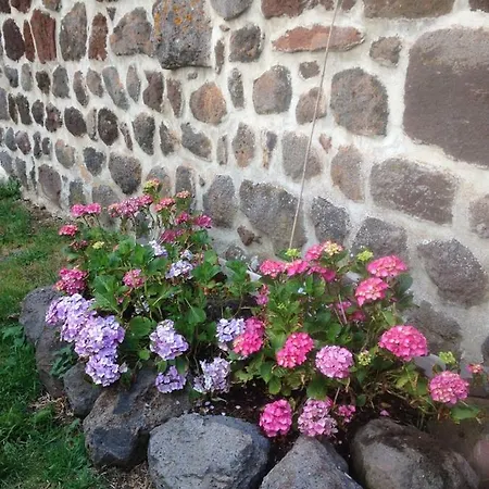 La Pause Auvergnate Holiday home